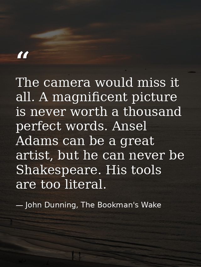 The camera would miss it all. A magnificent picture is never worth a thousand perfect words. Ansel Adams can be a great  — John Dunning, The Bookman's Wake