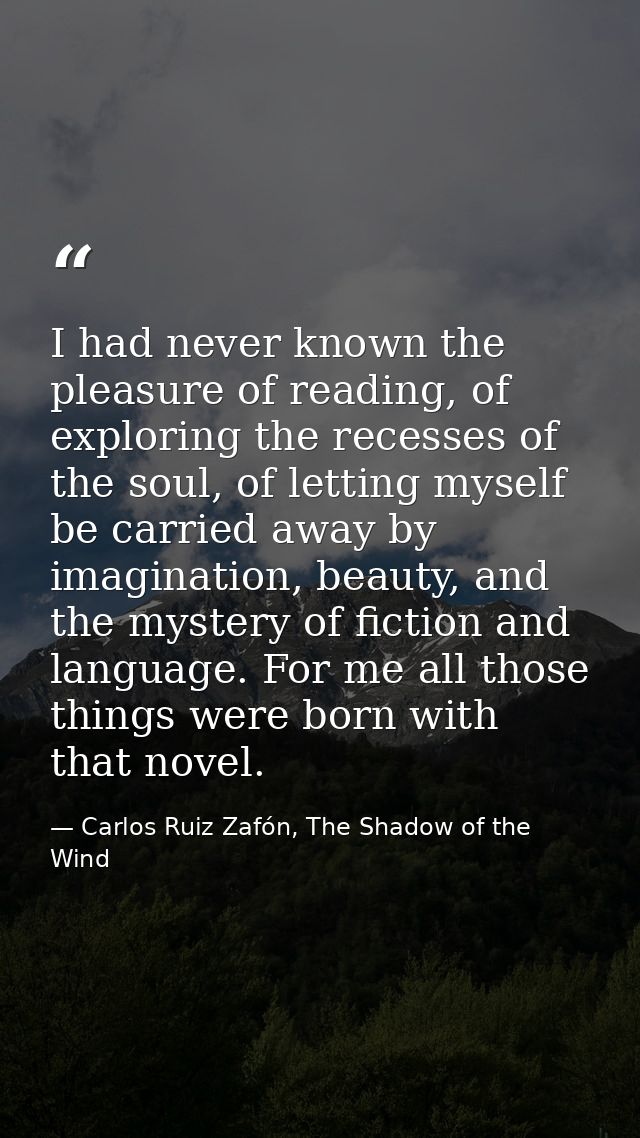 I had never known the pleasure of reading, of exploring the recesses of the soul, of letting myself be carried away by i — Carlos Ruiz Zafón, The Shadow of the Wind