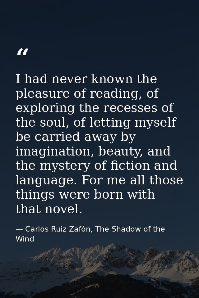 I had never known the pleasure of reading, of exploring the recesses of the soul, of letting myself be carried away by i — Carlos Ruiz Zafón, The Shadow of the Wind