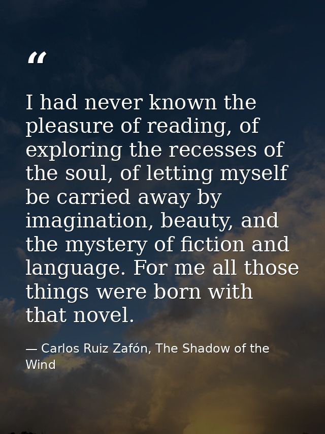 I had never known the pleasure of reading, of exploring the recesses of the soul, of letting myself be carried away by i — Carlos Ruiz Zafón, The Shadow of the Wind