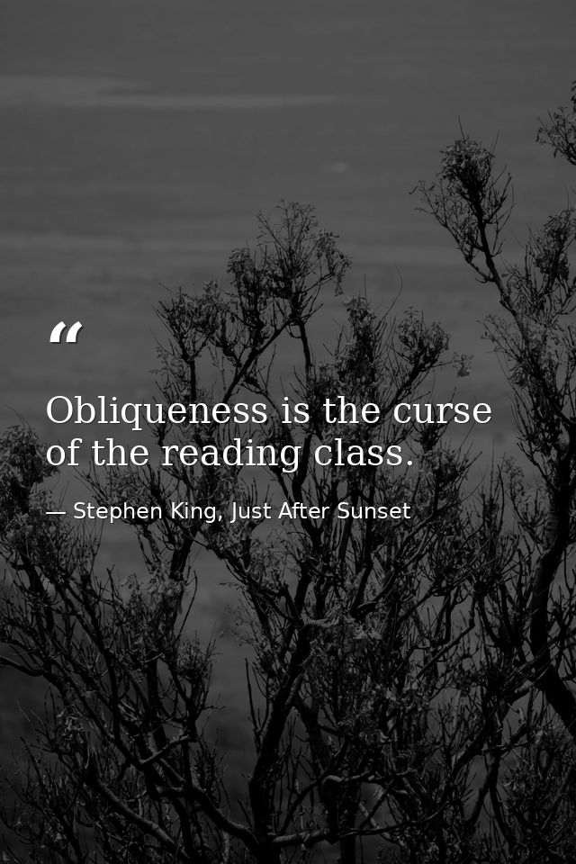 Obliqueness is the curse of the reading class. — Stephen King, Just After Sunset