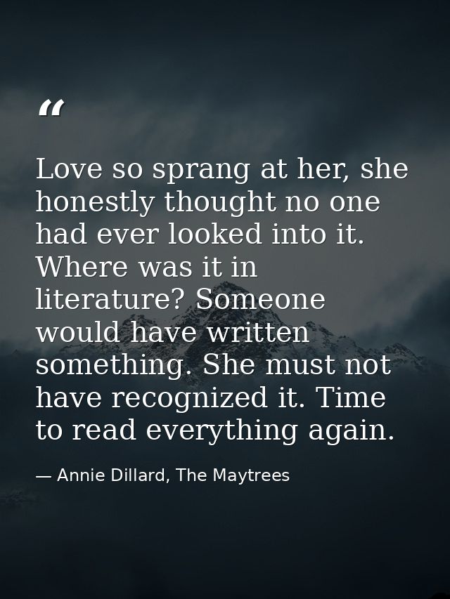 Love so sprang at her, she honestly thought no one had ever looked into it. Where was it in literature? Someone would ha — Annie Dillard, The Maytrees