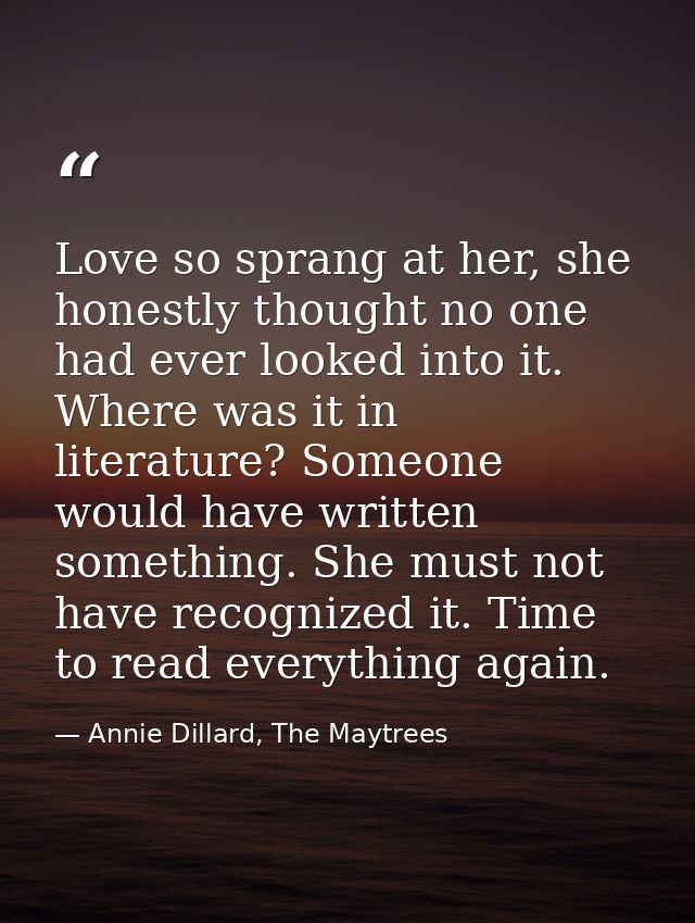 Love so sprang at her, she honestly thought no one had ever looked into it. Where was it in literature? Someone would ha — Annie Dillard, The Maytrees