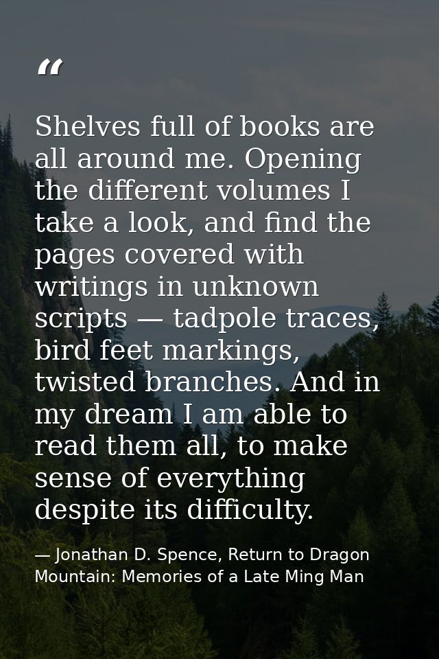 Shelves full of books are all around me. Opening the different volumes I take a look, and find the pages covered with wr — Jonathan D. Spence, Return to Dragon Mountain: Memories of a Late Ming Man