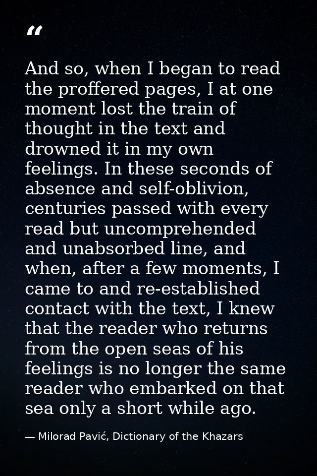 And so, when I began to read the proffered pages, I at one moment lost the train of thought in the text and drowned it i — Milorad Pavić, Dictionary of the Khazars