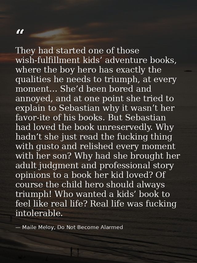 They had started one of those wish-fulfillment kids’ adventure books, where the boy hero has exactly the qualities he ne — Maile Meloy, Do Not Become Alarmed