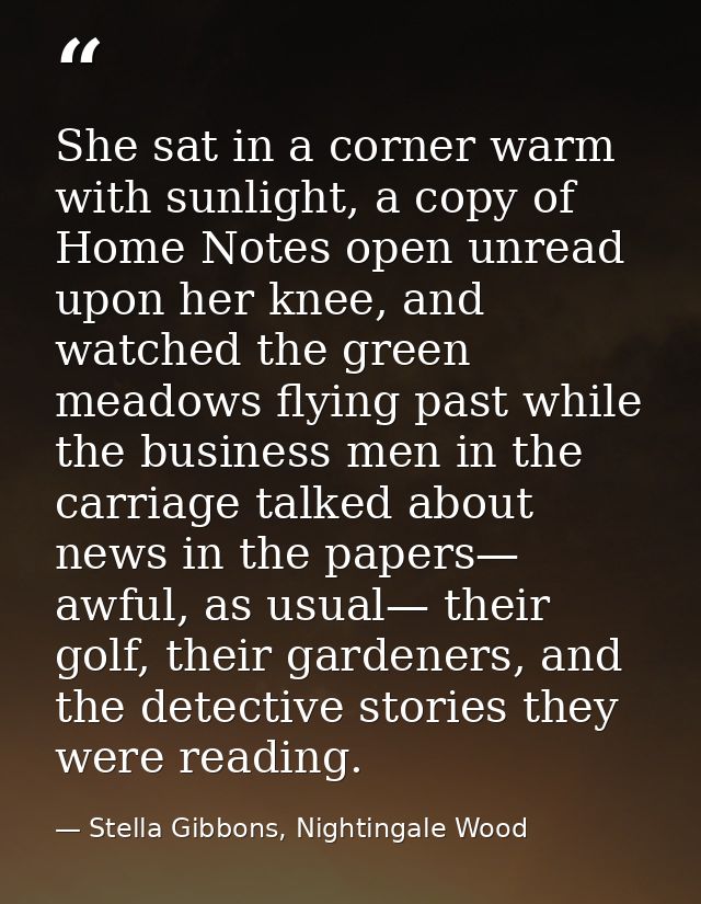 She sat in a corner warm with sunlight, a copy of Home Notes open unread upon her knee, and watched the green meadows fl — Stella Gibbons, Nightingale Wood