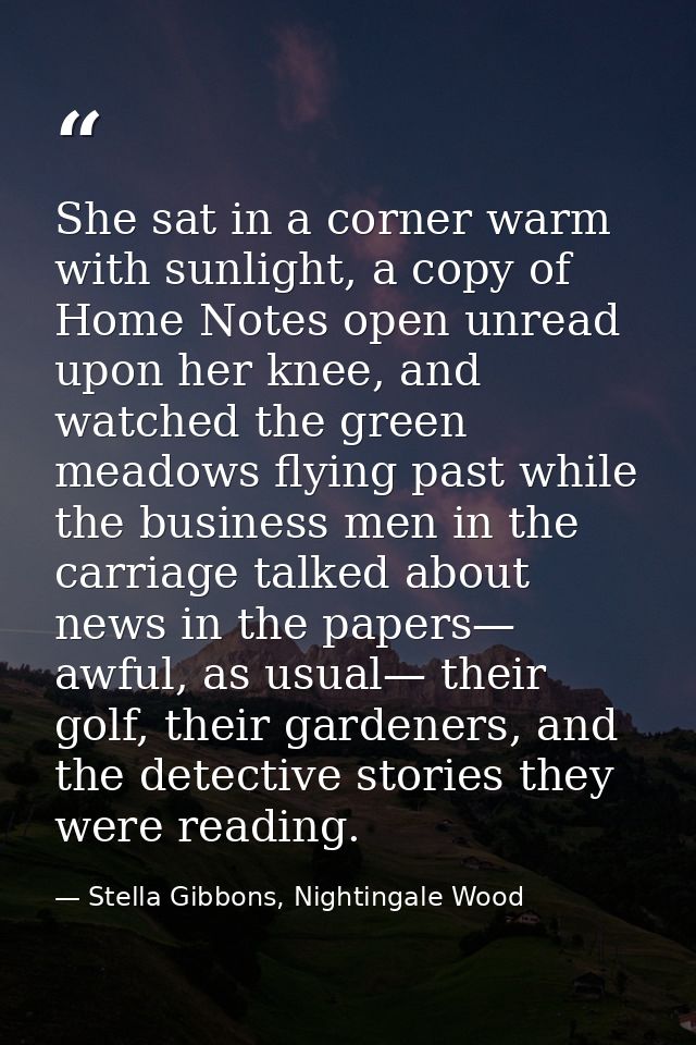 She sat in a corner warm with sunlight, a copy of Home Notes open unread upon her knee, and watched the green meadows fl — Stella Gibbons, Nightingale Wood