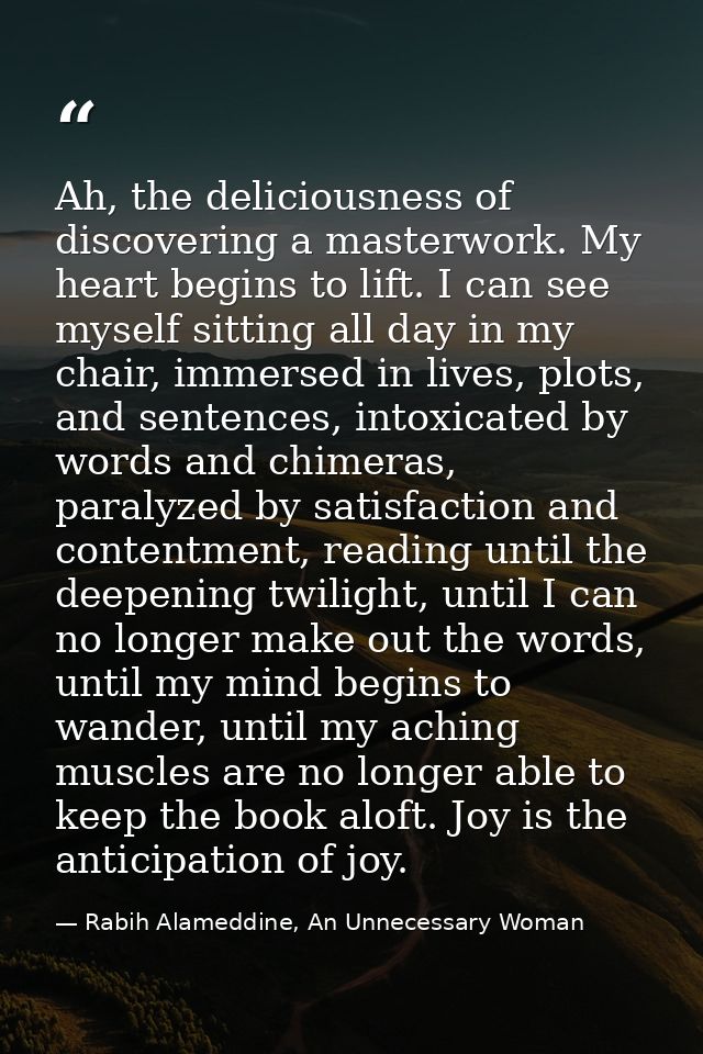 Ah, the deliciousness of discovering a masterwork. My heart begins to lift. I can see myself sitting all day in my chair — Rabih Alameddine, An Unnecessary Woman