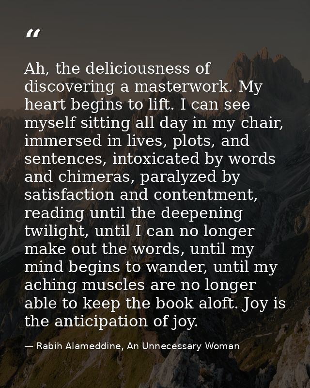 Ah, the deliciousness of discovering a masterwork. My heart begins to lift. I can see myself sitting all day in my chair — Rabih Alameddine, An Unnecessary Woman