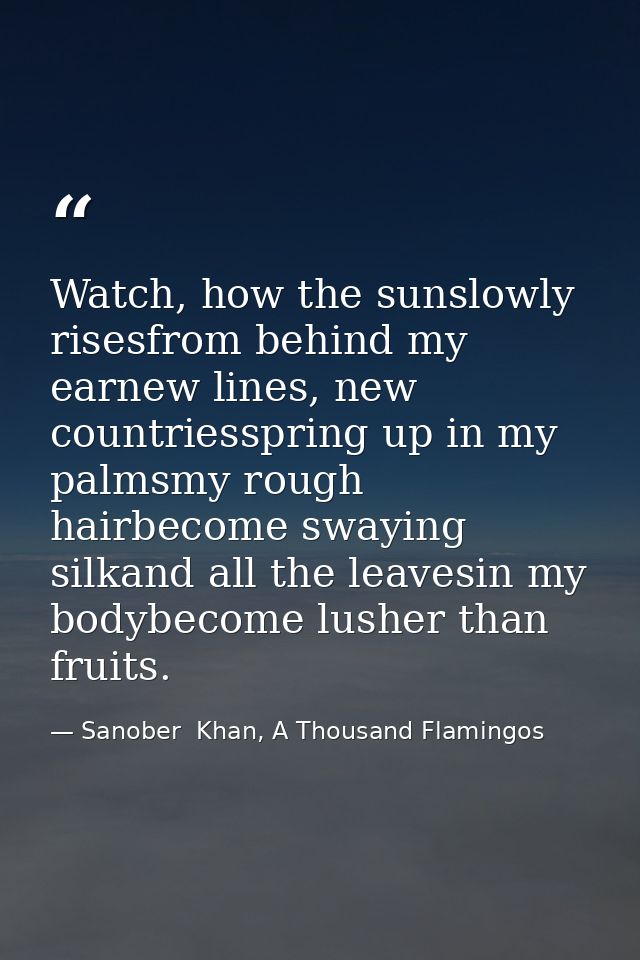 Watch, how the sunslowly risesfrom behind my earnew lines, new countriesspring up in my palmsmy rough hairbecome swaying — Sanober  Khan, A Thousand Flamingos