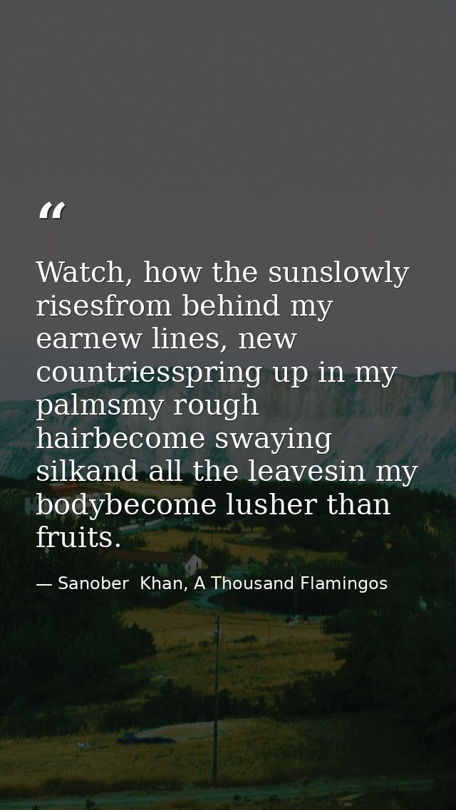 Watch, how the sunslowly risesfrom behind my earnew lines, new countriesspring up in my palmsmy rough hairbecome swaying — Sanober  Khan, A Thousand Flamingos
