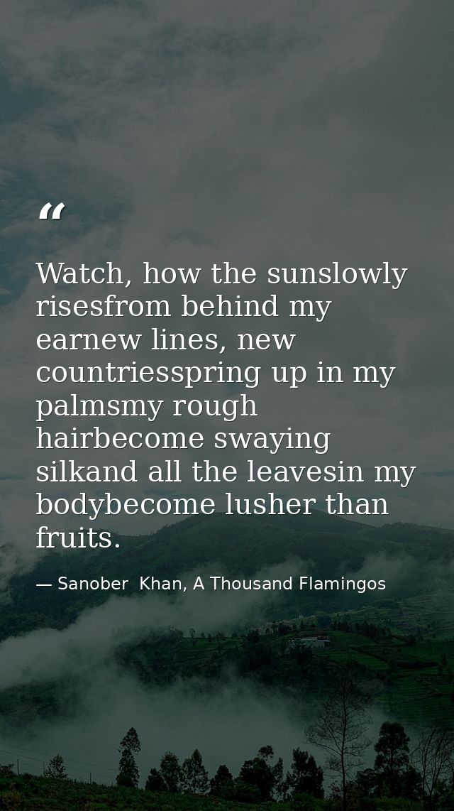 Watch, how the sunslowly risesfrom behind my earnew lines, new countriesspring up in my palmsmy rough hairbecome swaying — Sanober  Khan, A Thousand Flamingos