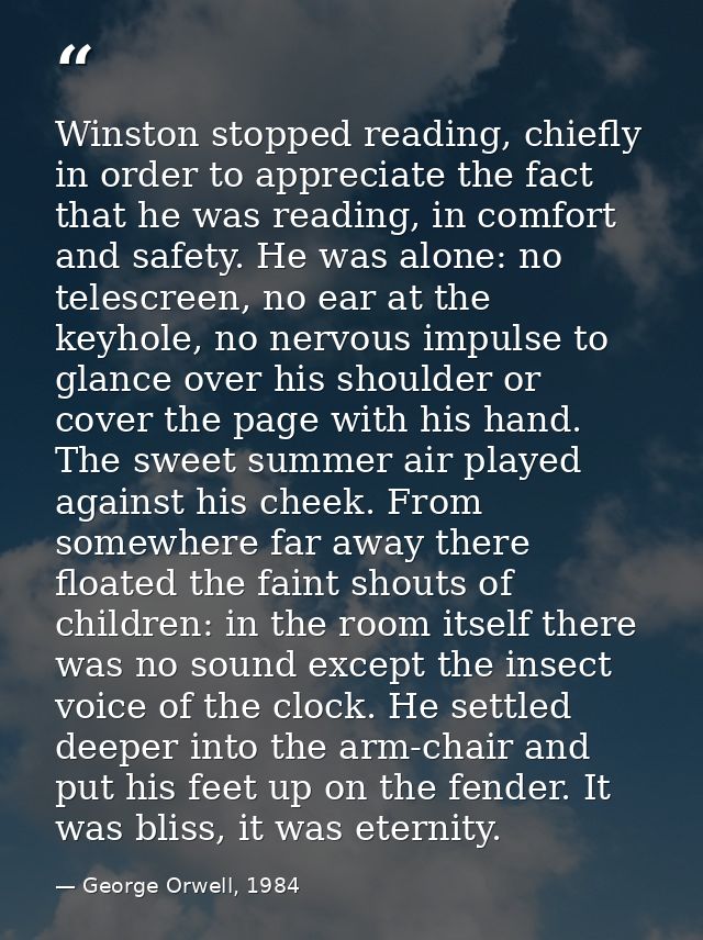 Winston stopped reading, chiefly in order to appreciate the fact that he was reading, in comfort and safety. He was alon — George Orwell, 1984