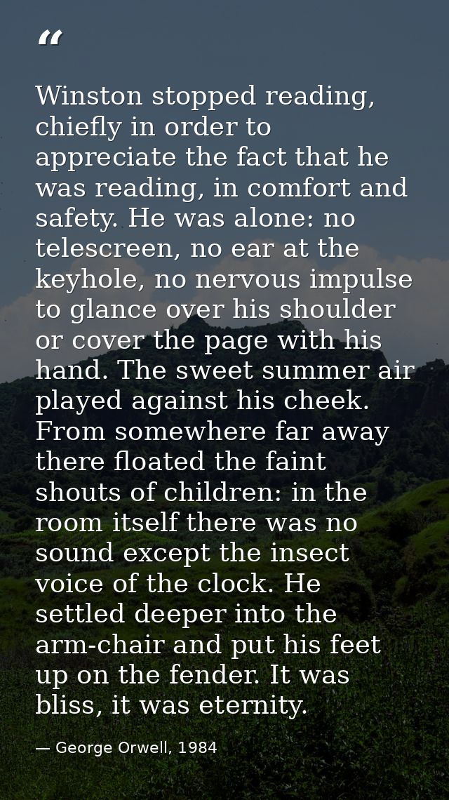 Winston stopped reading, chiefly in order to appreciate the fact that he was reading, in comfort and safety. He was alon — George Orwell, 1984