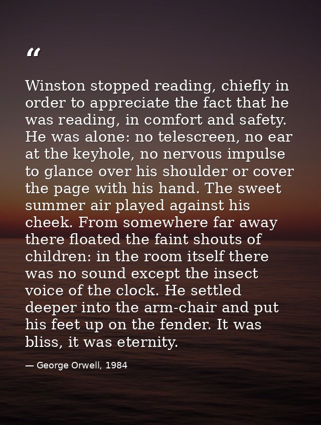 Winston stopped reading, chiefly in order to appreciate the fact that he was reading, in comfort and safety. He was alon — George Orwell, 1984