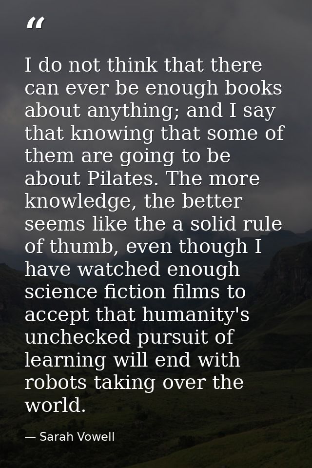 I do not think that there can ever be enough books about anything; and I say that knowing that some of them are going to — Sarah Vowell