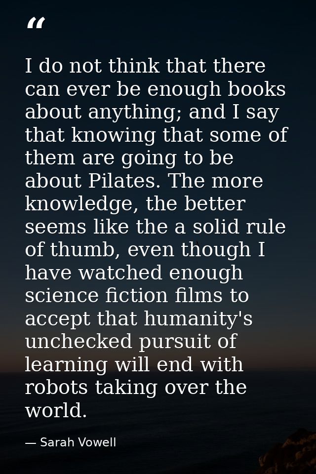 I do not think that there can ever be enough books about anything; and I say that knowing that some of them are going to — Sarah Vowell