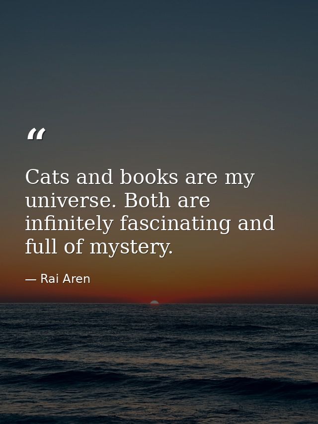 Cats and books are my universe. Both are infinitely fascinating and full of mystery. — Rai Aren