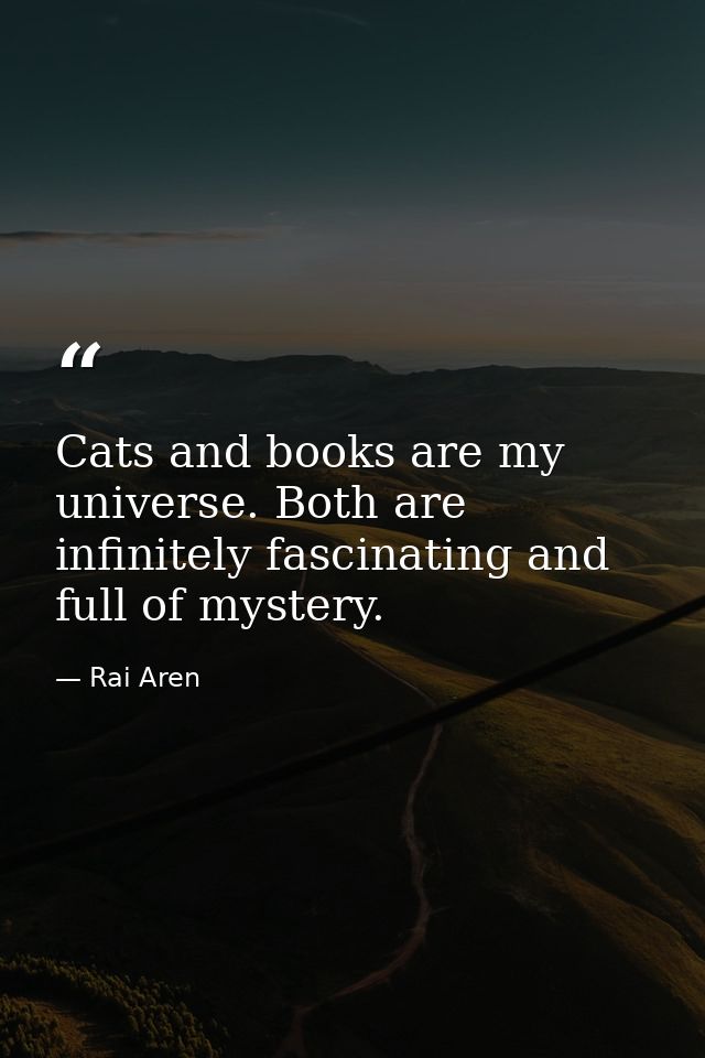 Cats and books are my universe. Both are infinitely fascinating and full of mystery. — Rai Aren