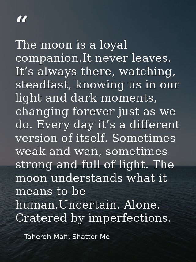The moon is a loyal companion.It never leaves. It’s always there, watching, steadfast, knowing us in our light and dark  — Tahereh Mafi, Shatter Me