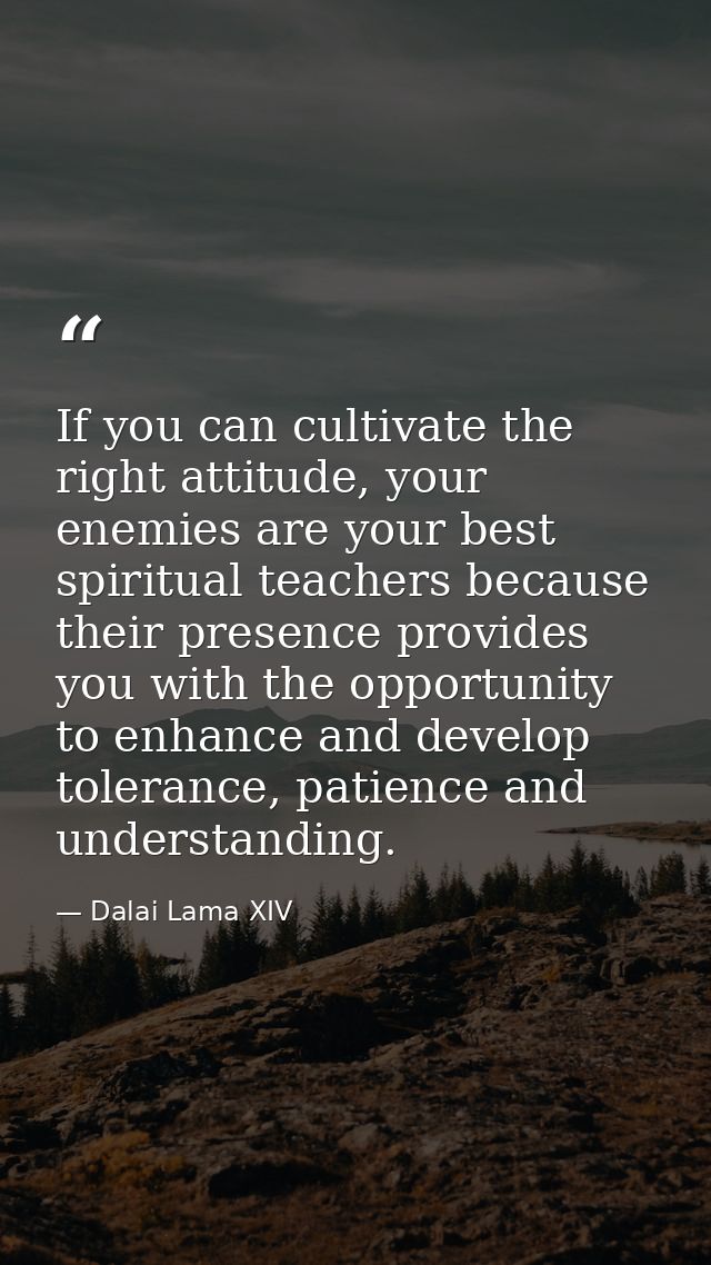 If you can cultivate the right attitude, your enemies are your best spiritual teachers because their presence provides y — Dalai Lama XIV