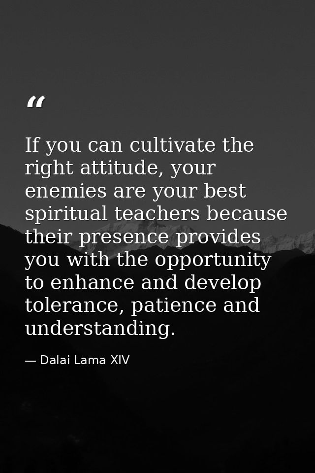 If you can cultivate the right attitude, your enemies are your best spiritual teachers because their presence provides y — Dalai Lama XIV