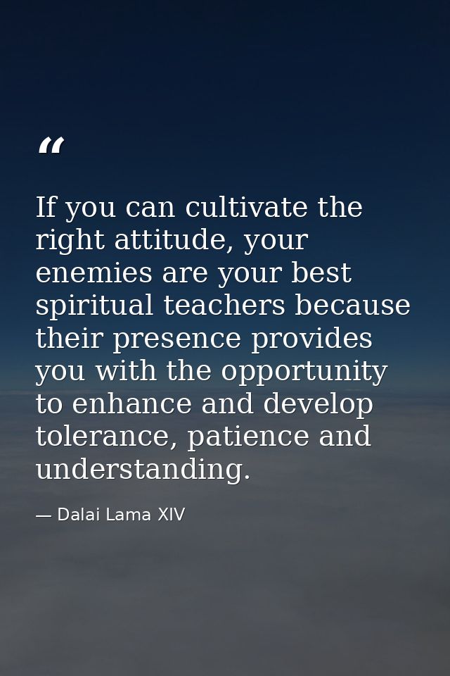 If you can cultivate the right attitude, your enemies are your best spiritual teachers because their presence provides y — Dalai Lama XIV