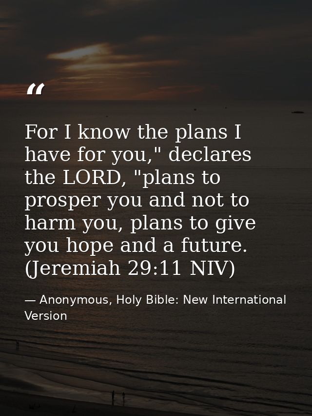For I know the plans I have for you," declares the LORD, "plans to prosper you and not to harm you, plans to give you ho — Anonymous, Holy Bible: New International Version