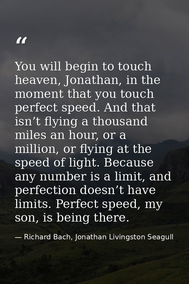 You will begin to touch heaven, Jonathan, in the moment that you touch perfect speed. And that isn’t flying a thousand m — Richard Bach, Jonathan Livingston Seagull