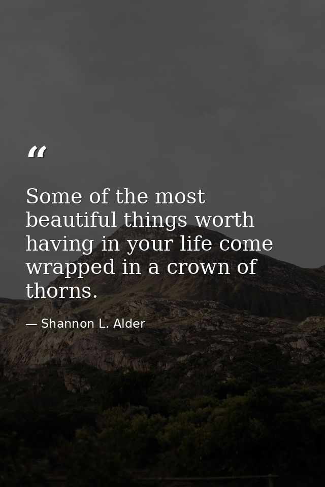 Some of the most beautiful things worth having in your life come wrapped in a crown of thorns. — Shannon L. Alder