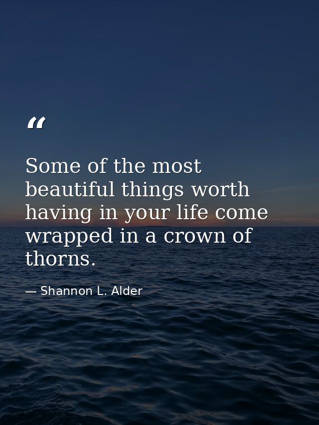 Some of the most beautiful things worth having in your life come wrapped in a crown of thorns. — Shannon L. Alder