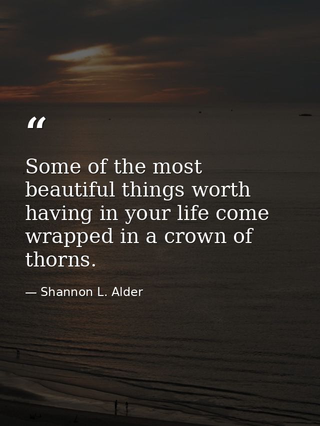 Some of the most beautiful things worth having in your life come wrapped in a crown of thorns. — Shannon L. Alder