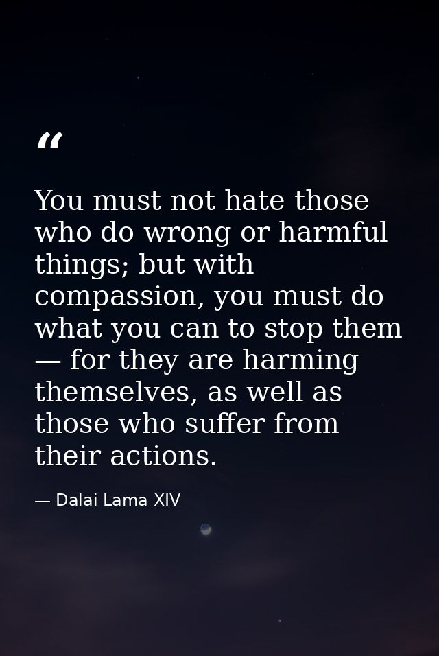 You must not hate those who do wrong or harmful things; but with compassion, you must do what you can to stop them — for — Dalai Lama XIV