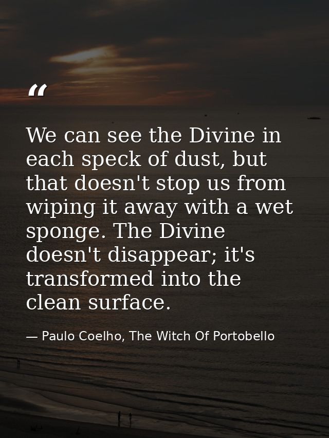 We can see the Divine in each speck of dust, but that doesn't stop us from wiping it away with a wet sponge. The Divine  — Paulo Coelho, The Witch Of Portobello