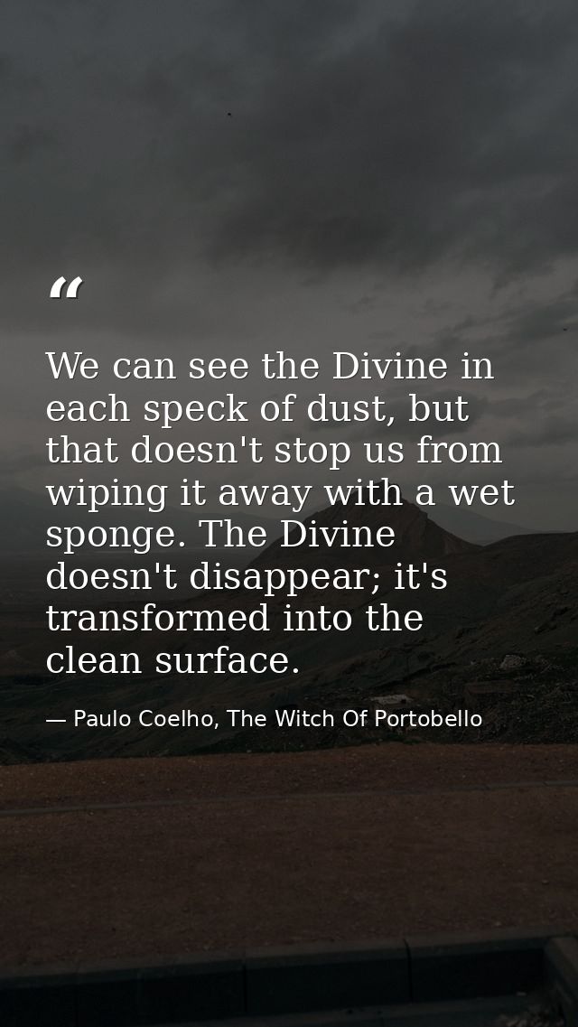 We can see the Divine in each speck of dust, but that doesn't stop us from wiping it away with a wet sponge. The Divine  — Paulo Coelho, The Witch Of Portobello