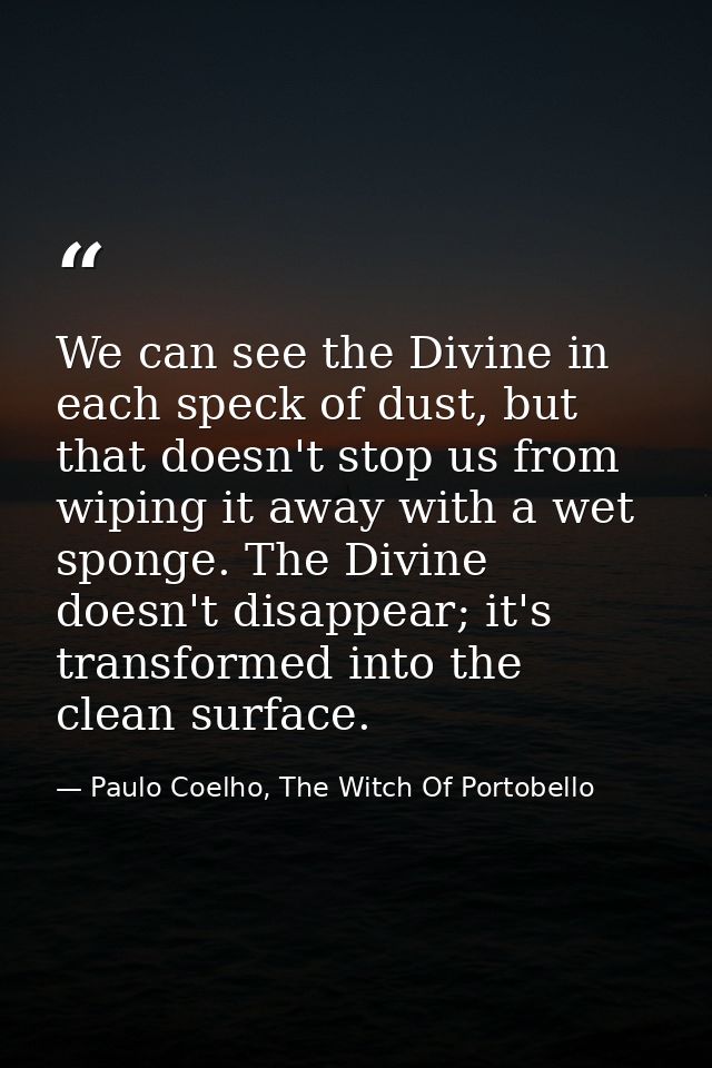 We can see the Divine in each speck of dust, but that doesn't stop us from wiping it away with a wet sponge. The Divine  — Paulo Coelho, The Witch Of Portobello
