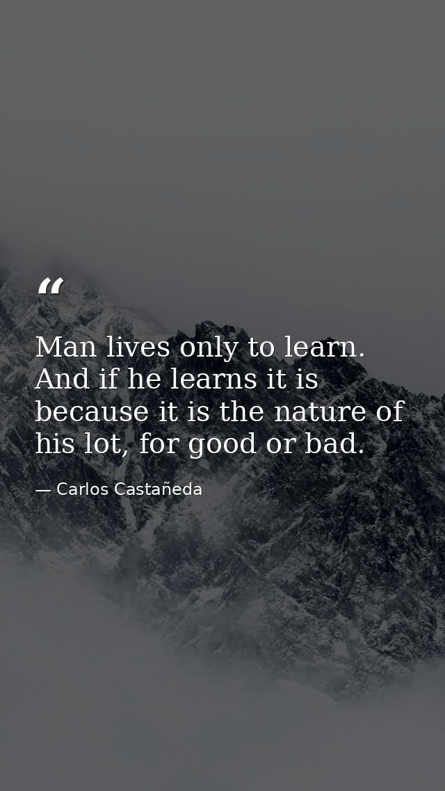 Man lives only to learn. And if he learns it is because it is the nature of his lot, for good or bad. — Carlos Castañeda
