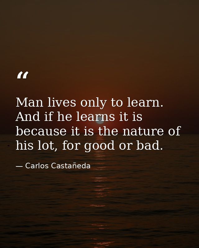 Man lives only to learn. And if he learns it is because it is the nature of his lot, for good or bad. — Carlos Castañeda