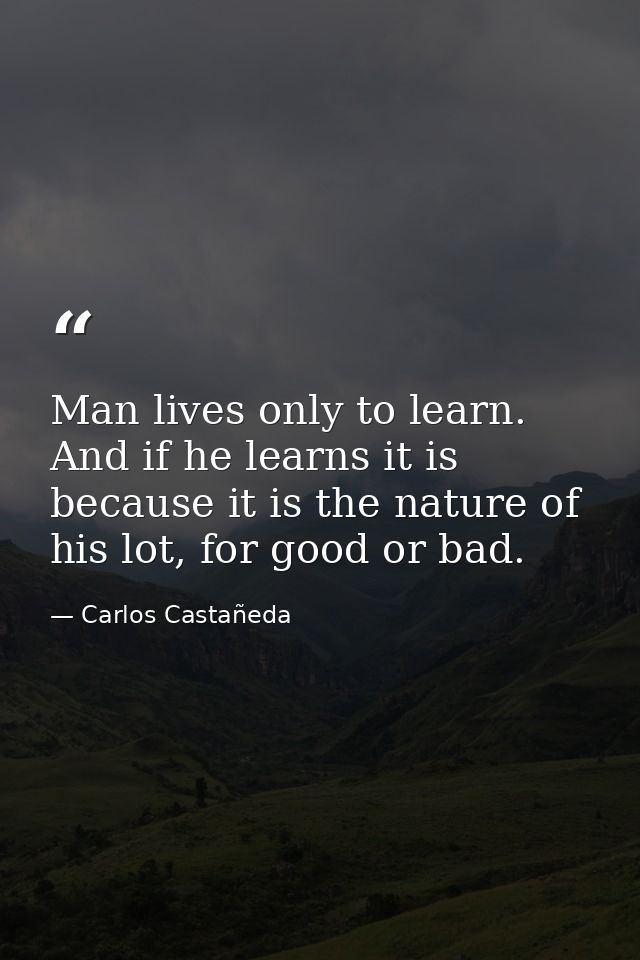Man lives only to learn. And if he learns it is because it is the nature of his lot, for good or bad. — Carlos Castañeda