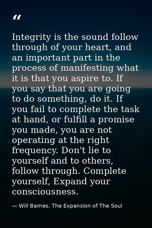 Integrity is the sound follow through of your heart, and an important part in the process of manifesting what it is that — Will Barnes, The Expansion of The Soul