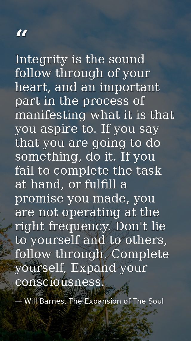 Integrity is the sound follow through of your heart, and an important part in the process of manifesting what it is that — Will Barnes, The Expansion of The Soul