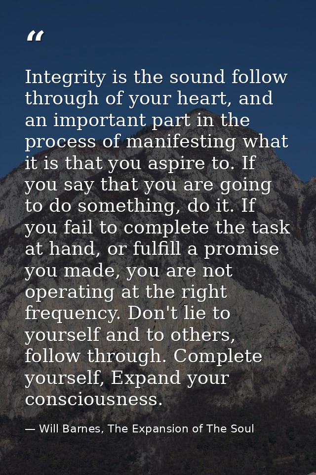 Integrity is the sound follow through of your heart, and an important part in the process of manifesting what it is that — Will Barnes, The Expansion of The Soul