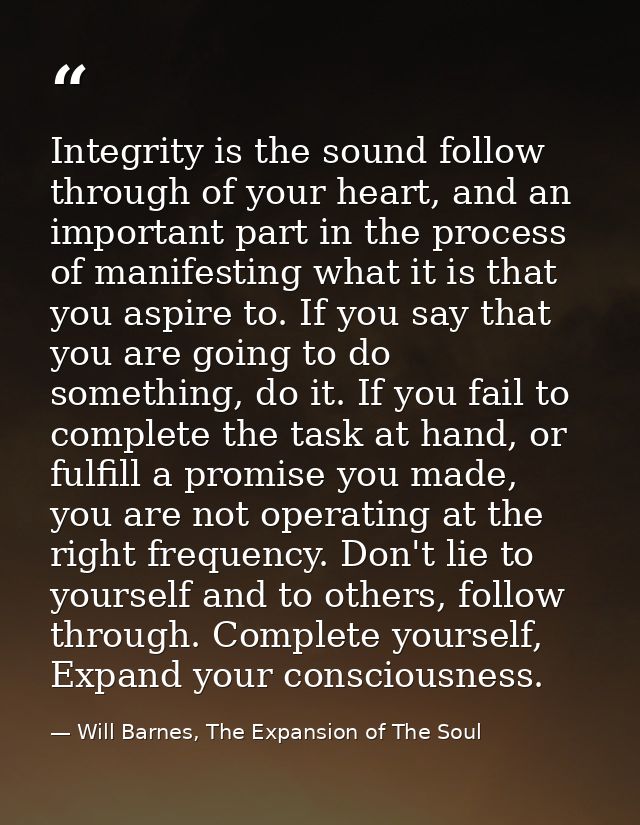 Integrity is the sound follow through of your heart, and an important part in the process of manifesting what it is that — Will Barnes, The Expansion of The Soul