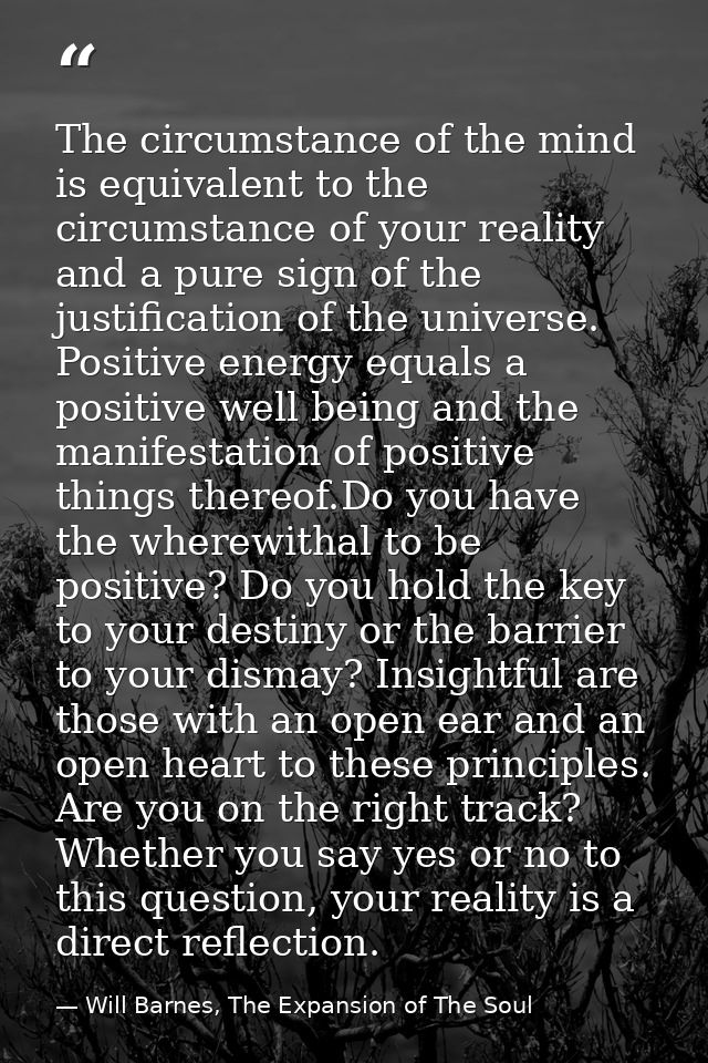 The circumstance of the mind is equivalent to the circumstance of your reality and a pure sign of the justification of t — Will Barnes, The Expansion of The Soul