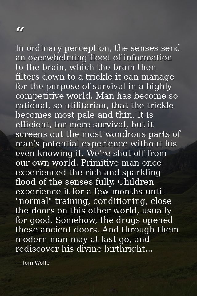 In ordinary perception, the senses send an overwhelming flood of information to the brain, which the brain then filters  — Tom Wolfe