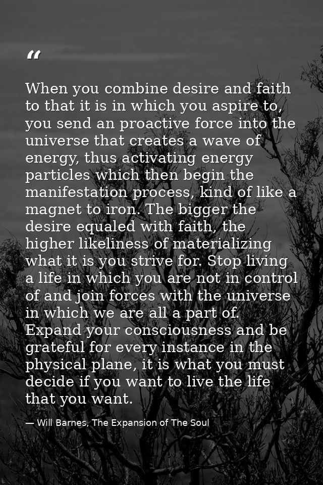 When you combine desire and faith to that it is in which you aspire to, you send an proactive force into the universe th — Will Barnes, The Expansion of The Soul