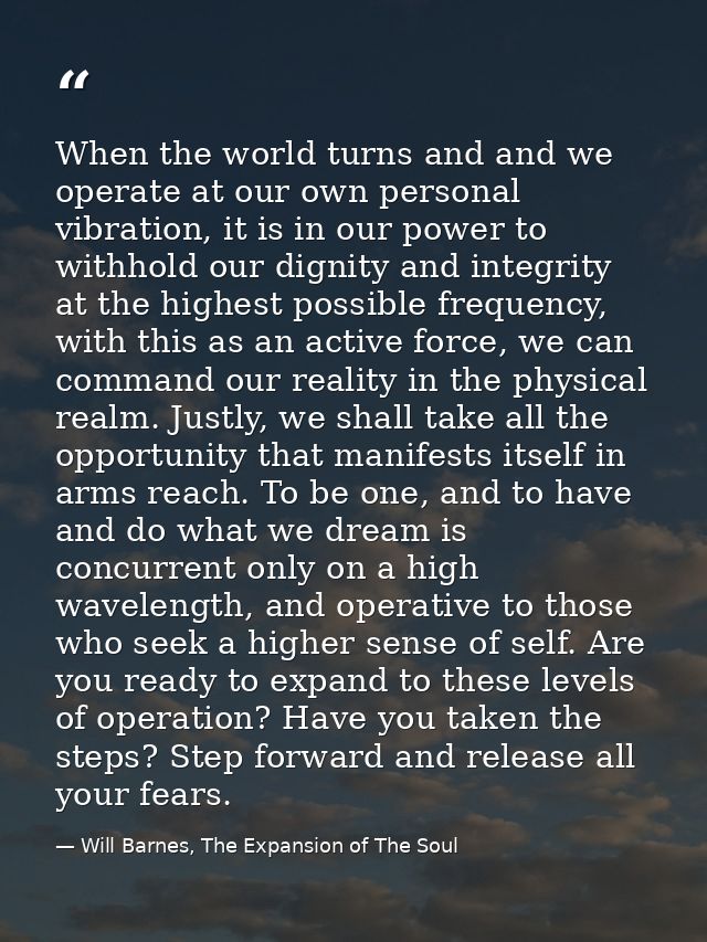 When the world turns and and we operate at our own personal vibration, it is in our power to withhold our dignity and in — Will Barnes, The Expansion of The Soul