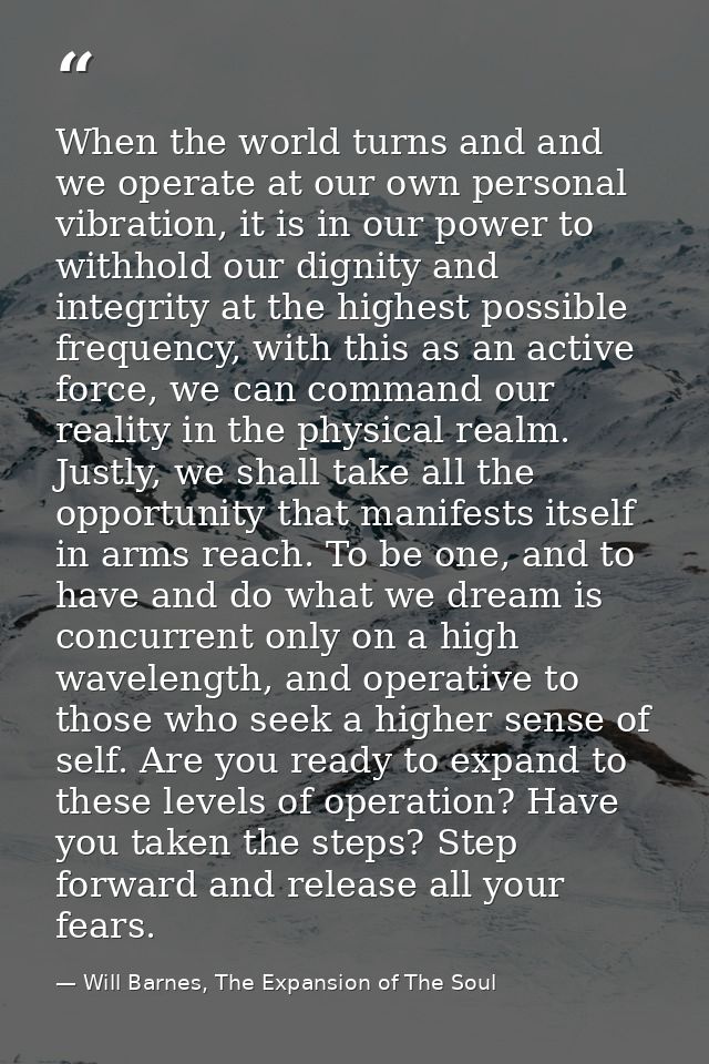 When the world turns and and we operate at our own personal vibration, it is in our power to withhold our dignity and in — Will Barnes, The Expansion of The Soul