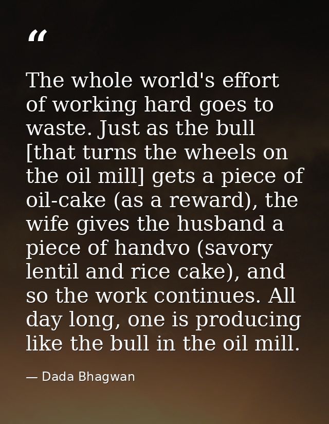 The whole world's effort of working hard goes to waste. Just as the bull [that turns the wheels on the oil mill] gets a  — Dada Bhagwan